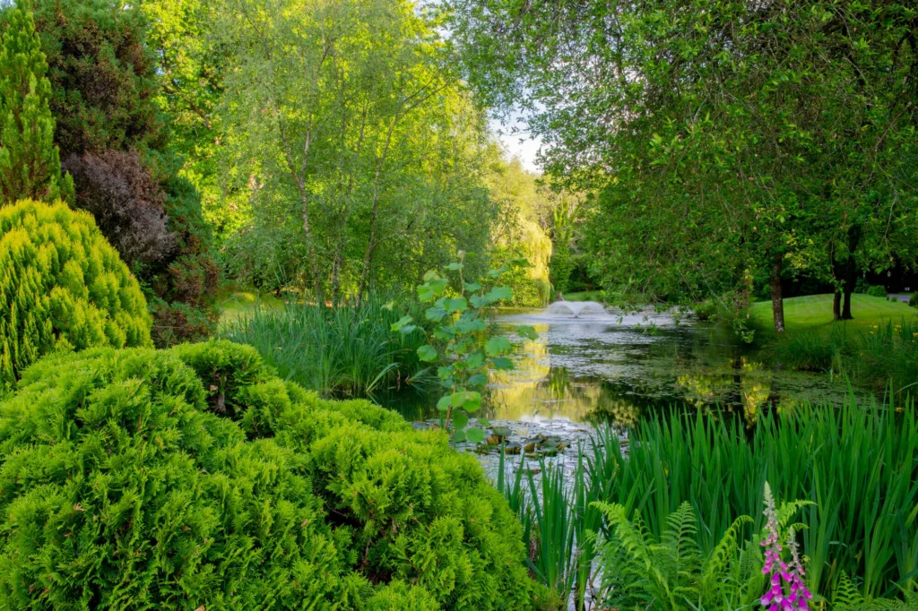 The front lake at Lakeview Manor